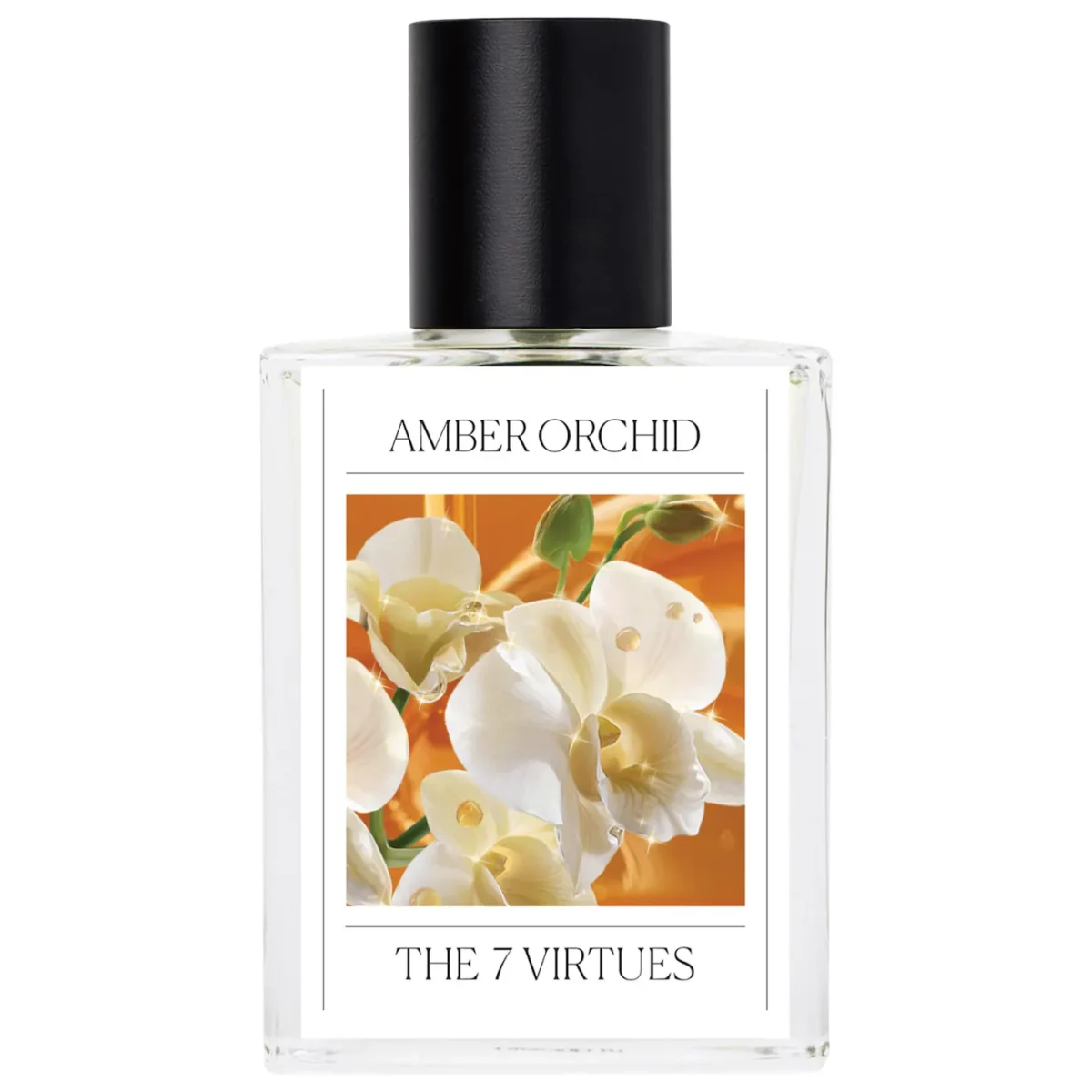 The 7 Virtues | Amber Orchid Eau de Parfum (Eau de Parfum floral cálido)